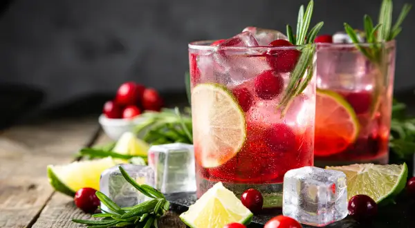 Orzeźwiający drink z Jägermeisterem, żurawiną, limonką i rozmarynem. Idealny na letnie wieczory.